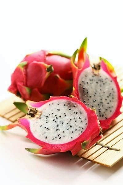 20 White Dragon Fruit Pitaya Pitahaya Strawberry Pear Hylocereus