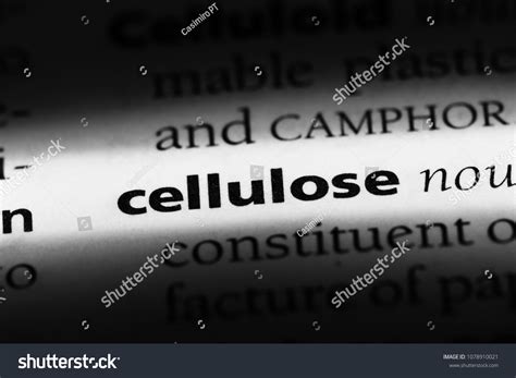 Cellulose Word Dictionary Cellulose Concept Stock Photo 1078910021 ...