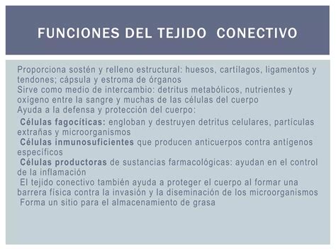 Tejido Conectivo Conjuntivo O De Sostén Ppt