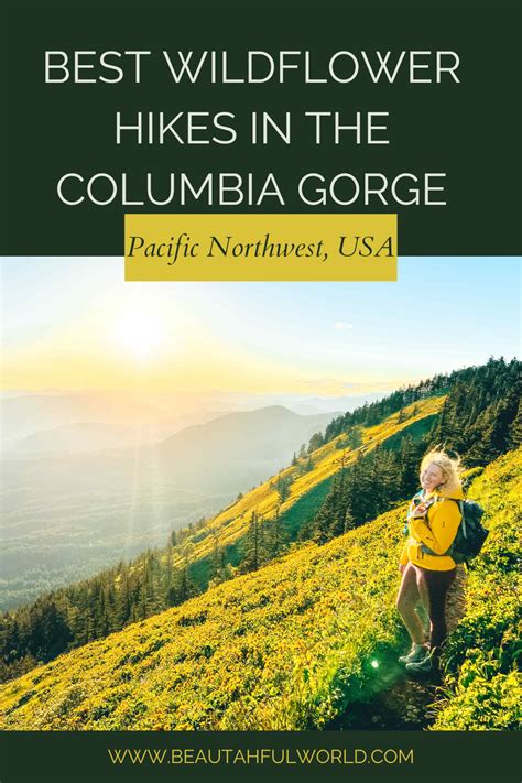 Best Wildflower Hikes In The Columbia Gorge Our Beautahful World