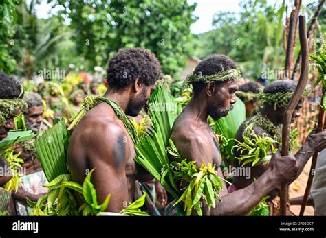 Las danzas tradicionales de los pueblos indígenas en la isla de Utupua