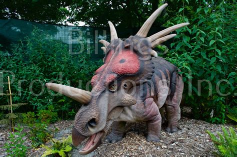 Styracosaurus