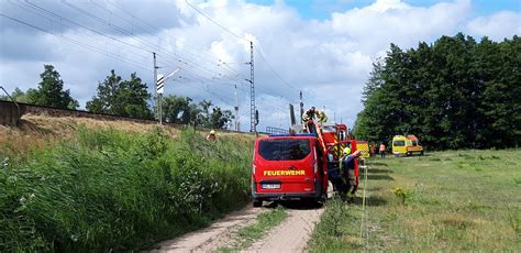 Reportnet De Bahnstrecke Potsdam Oranienburg Unterbrochen Zug