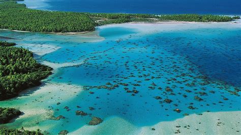 Rangiroa turismo Qué visitar en Rangiroa Islas Tuamotu Gambier 2024