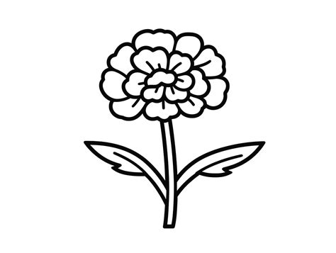 Marigold Drawing To Color Easy For Children Coloring Page