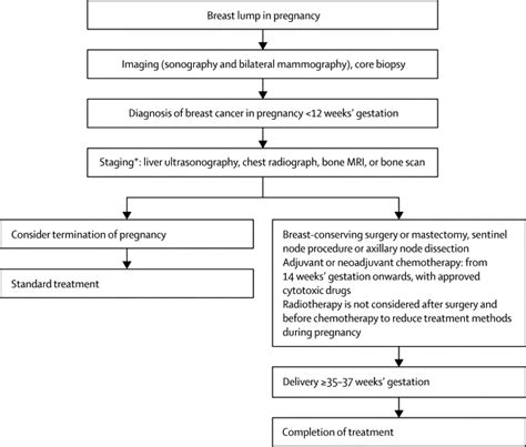 Breast Cancer In Pregnancy The Lancet