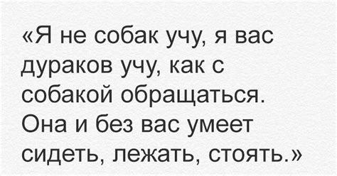 Кинолог | Пикабу
