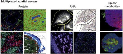 New Views Of Old Proteins Clarifying The Enigmatic Proteome