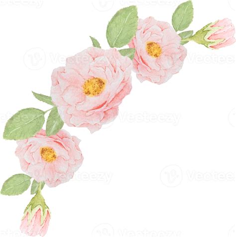 Watercolor Pink Rose Flower Bouquet 13641504 Png