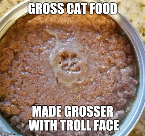 Gross Face Cat Food Imgflip