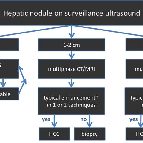 Radiological Hallmarks Of Hepatocellular Carcinoma Hcc Typical Download Scientific Diagram