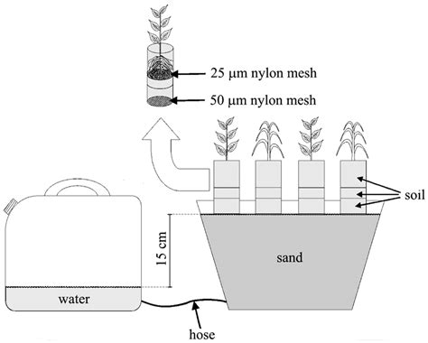 Schematic Representation Of The System For Maintenance Of Moisture And