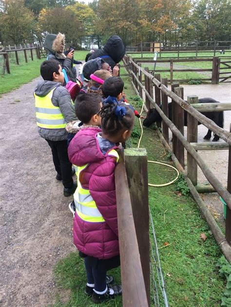 Hainault Forest Year 2 Trip Concordia Academy