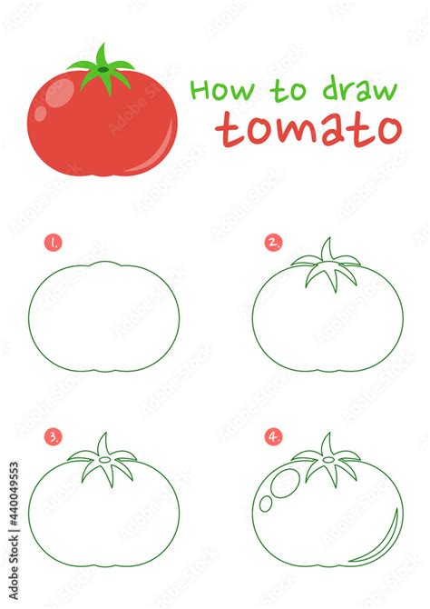 How To Draw A Tomato Vector Illustration Draw A Tomato Step By Step