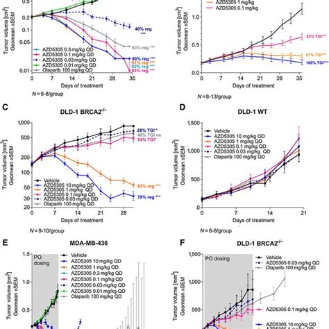 Antitumor Efficacy Of AZD5305 In Combination With Carboplatin In Vivo