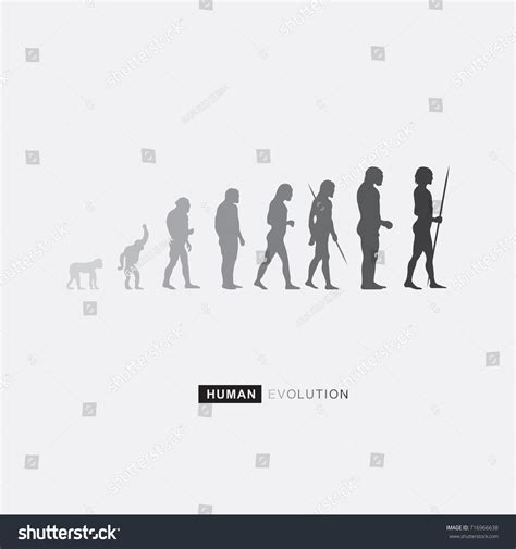 Human Evolution Vector Illustration Vector De Stock Libre De Regal As