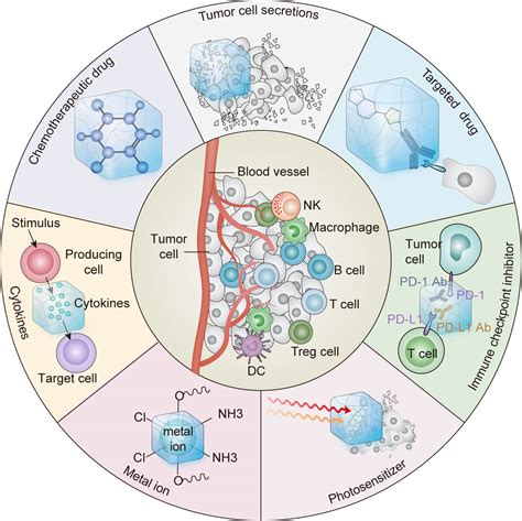 Frontiers Injectable Hydrogel As A Unique Platform For Antitumor