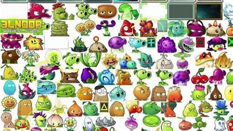 Quem Tem Todas As Plantas De Plantas Vs Zombies Plants Vs Zombies