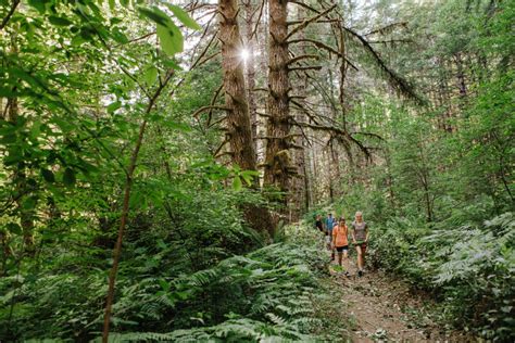 3 Great Hikes in Corvallis, Oregon