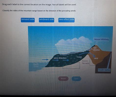 Drag Each Label To The Correct Location On The Image Not All Labels