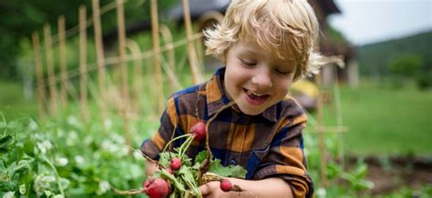 La Permaculture Cest Quoi