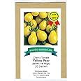 Gelbe Birnenf Rmige Mini Tomate Gelbes Birnchen Yellow Pear