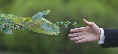 Entenda A Rela O Entre Gestor Ambiental E Desenvolvimento Sustent Vel