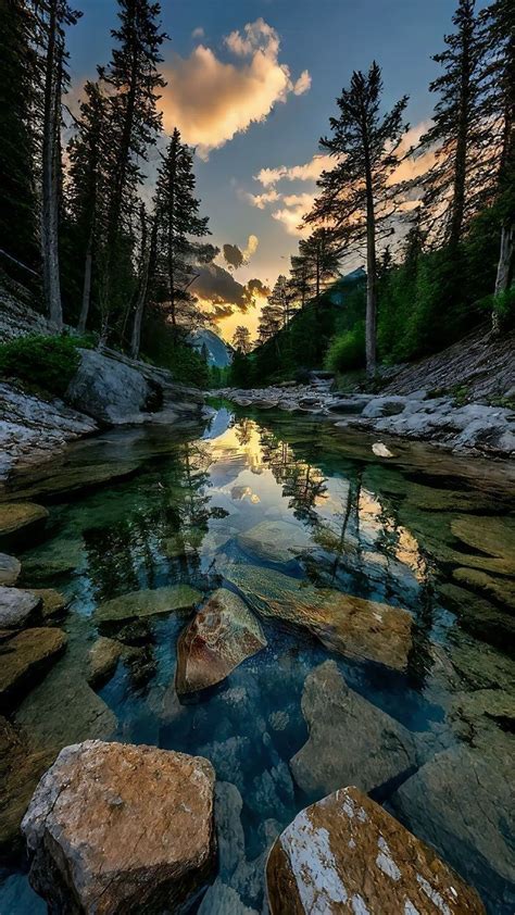 Barefoot Bikini Beauties On Tumblr