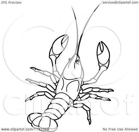 Clipart Of An Outlined Crayfish Royalty Free Vector Illustration By