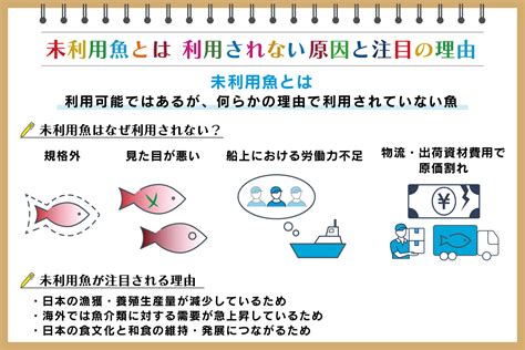 未利用魚とは？ 利用されない原因や注目の理由、活用事例を紹介：朝日新聞sdgs Action