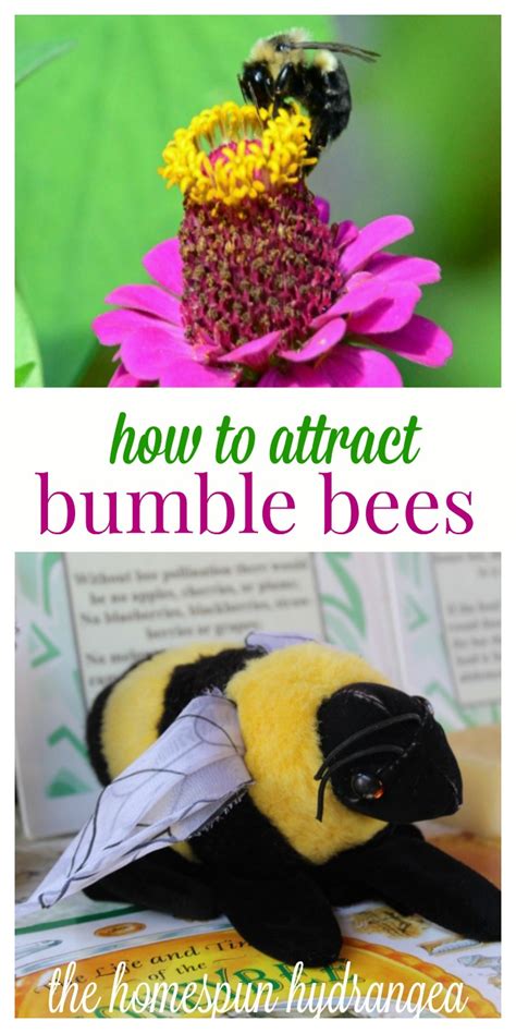 12 Ways To Attract Bumble Bees To Your Garden The Homespun Hydrangea