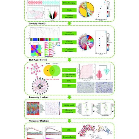 A Schematic Diagram Based On A Comprehensive Method Of Bioinformatics