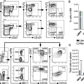 Rbpj Deletion Disrupts The Maturation Signature Of Distinct Nk