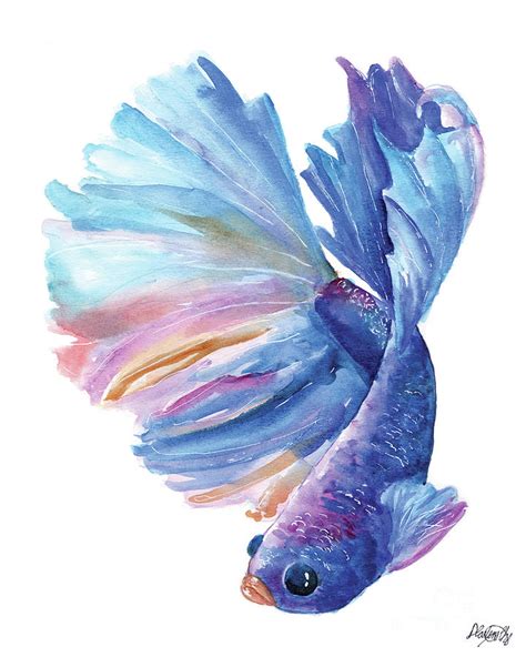 Betta Fish Painting by Darlene Chen - Fine Art America