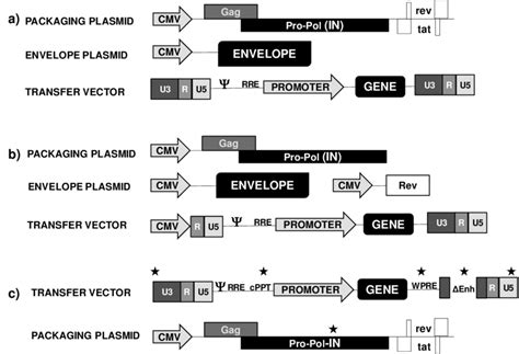 Engineering Of Lentivector Systems And Improvements In Performance And