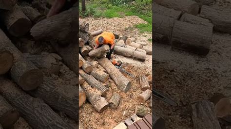 Cutting Firewood Logs Shorts Youtube