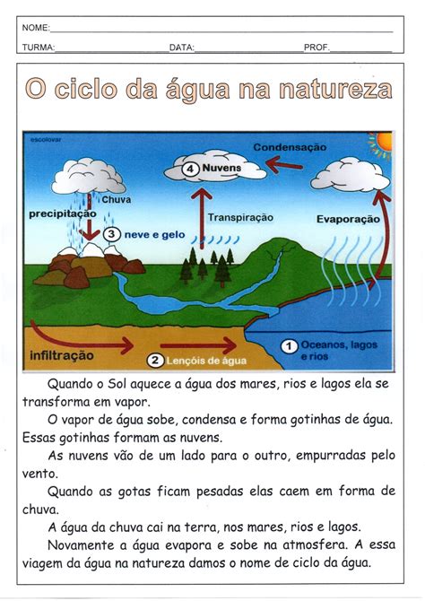 Exercícios Ciclo Da água Fdplearn