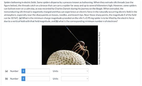 Solved Spiders ballooning in electric fields. Some spiders | Chegg.com