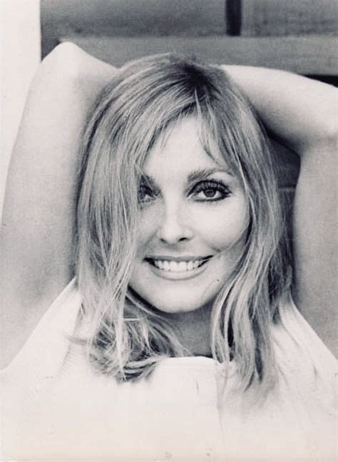 Pin By Vintage Hollywood Classics On Sharon Tate Sharon Tate Tate Sharon