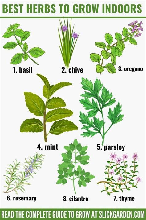 How To Grow Herbs Indoors Artofit