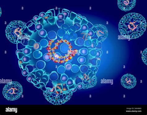 Bluetongue virus structure, illustration Stock Photo - Alamy