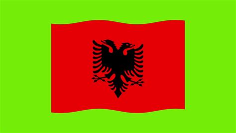 Loop Of Albania Flag Waving On Green Screen Background 14529780 Stock