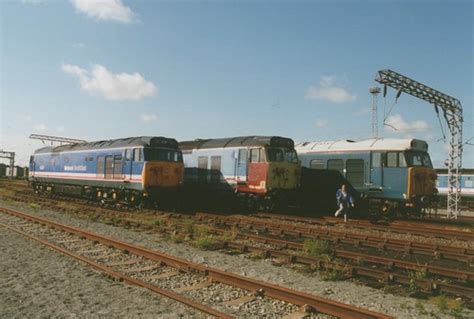 Preserved Class 50s 50027 Lion 50017 Royal Oak And 5 Flickr