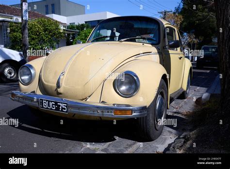 Front Of An Old Yellow Or Cream Coloured Volkswagen Beetle Featuring