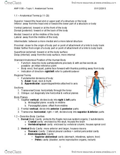 Anp 1106 Lecture 1 Anp1106 Topic 1 Anatomical Termspdf Oneclass