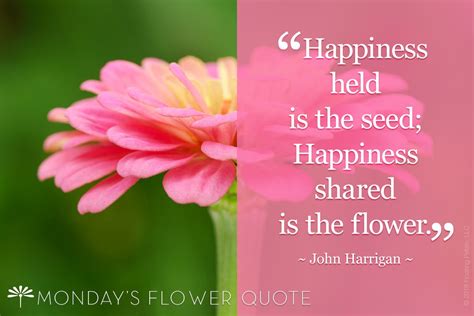 Flowers Bring Happiness Quotes Shortquotes Cc