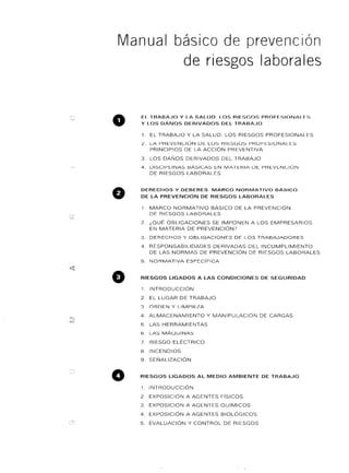 Manual Basico De Prevenci N De Riesgos Pdf