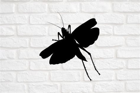 Grasshopper Silhouette Vector Graphic By Magaart · Creative Fabrica