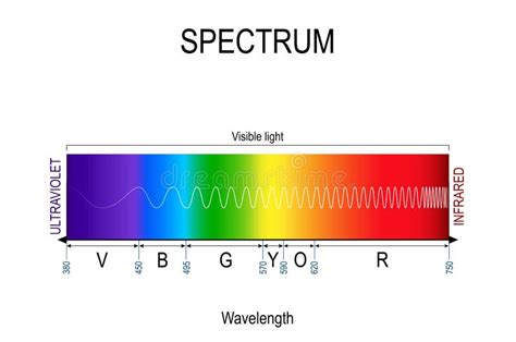 Vektordiagrammet För Elektromagnetiskt Spektrum Vektor Illustrationer