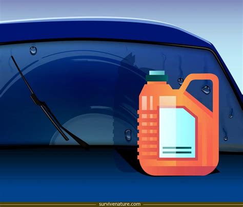 Best Windshield Wiper Fluid Review and Buying Guide - Survive Nature